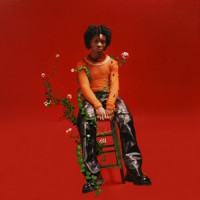 Ты поселилась у душі