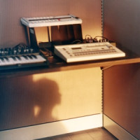 Ты поселилась у душі