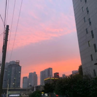 Ты поселилась у душі