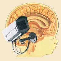 Ты поселилась у душі