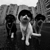 Ты поселилась у душі